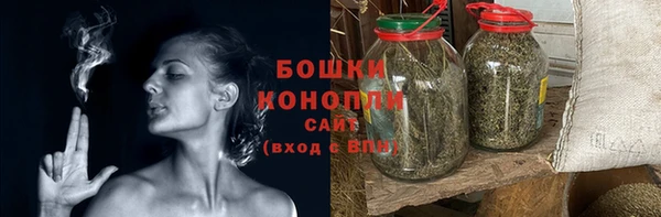 ECSTASY Вяземский