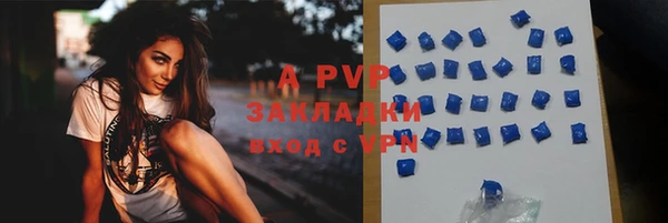 твердый Белокуриха