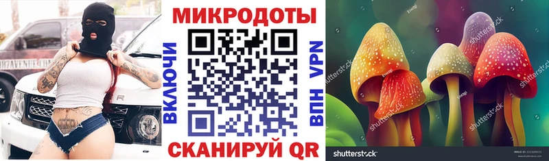 Галлюциногенные грибы Magic Shrooms  купить наркотик  Велиж 